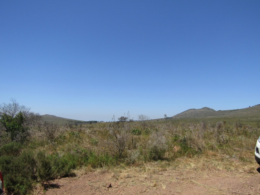 0 Bedroom Property for Sale in Humansdorp Rural Eastern Cape